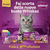 img-e58d7ca5-4211-44c9-8019-b033b00ac5fc.png