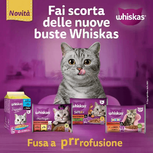 img-e58d7ca5-4211-44c9-8019-b033b00ac5fc.png