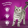 img-8b2f44eb-0a50-4311-96e7-3420c43248a6.png
