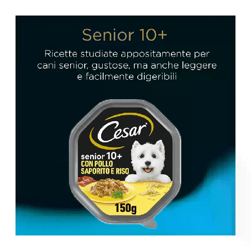img-4aeba583-9164-4c2d-a54b-06cabfedbbbf.png