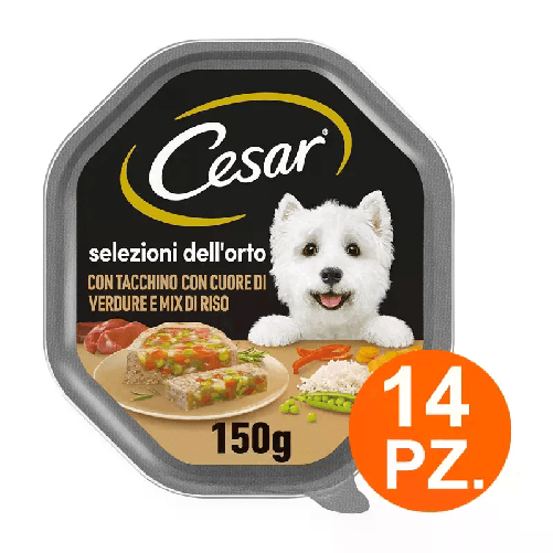 img-7d456cb0-ef06-4c88-bc86-b9cd26d27bb4.png