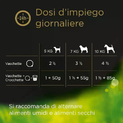 img-4e81741f-bc54-441c-a152-4e385423b59c.png