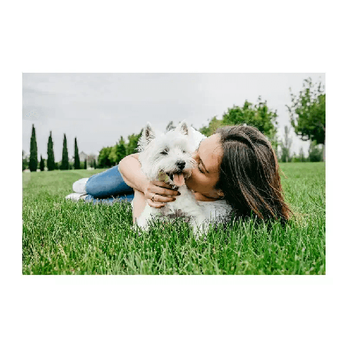 img-7f152f08-6932-4011-8c04-c23c5892efef.png