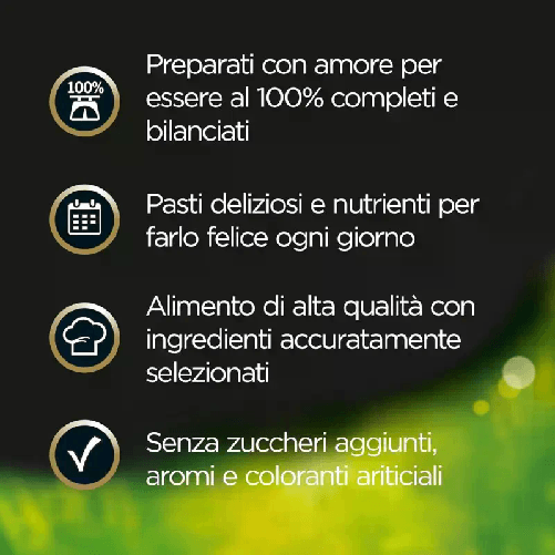 img-a3380797-3349-4f6e-ad13-ea9c0f4f25d0.png