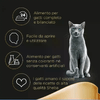 img-599cdbf3-7d9c-4e90-9dd1-ca5538665791.png