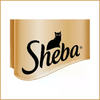 img-8da20586-0912-436b-9d3c-386b52dda050.png