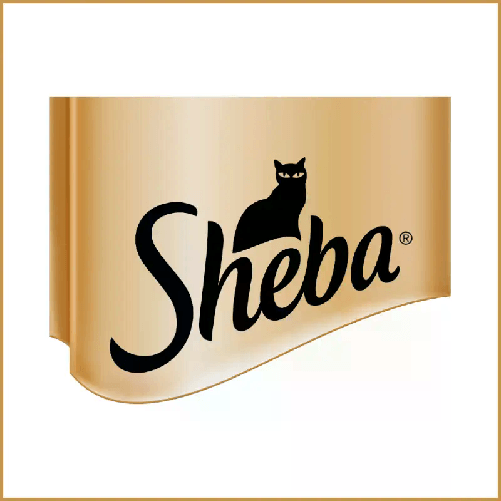 img-8da20586-0912-436b-9d3c-386b52dda050.png
