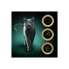 img-e41b3f99-26aa-47cb-80c9-c16d2c769a1f.png