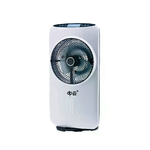 Ventilatore con nebulizzatore professionale spray acqua umidificatore timer 48W