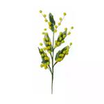 img-aa309e75-4b6d-4ecc-8d82-418118793d81.png