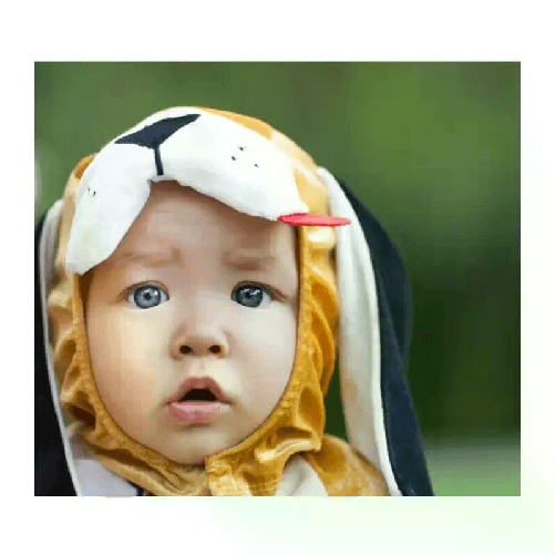 img-1ec2a2c9-31fe-4e20-82f9-1407e71d1a0c.png