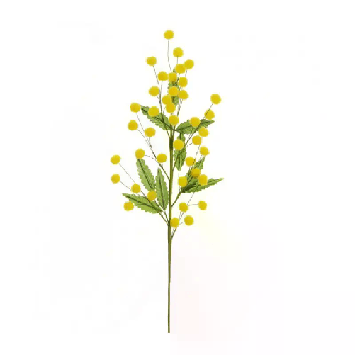 img-fc379643-9887-4ad0-9101-dcbfc6b4bada.png