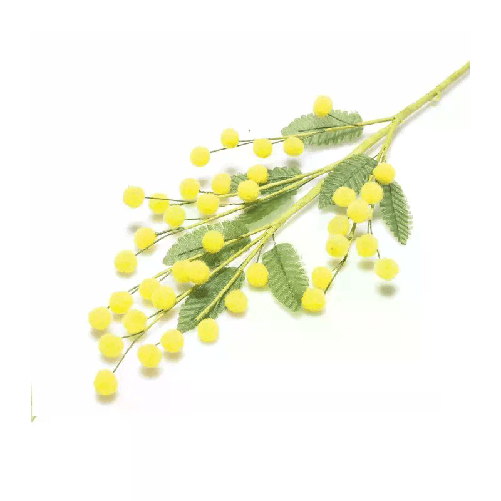 img-ef7e9f0f-d5fb-49ab-8ed6-7bbfda761309.png