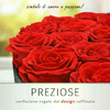 img-e58353e2-752f-4c3a-91af-a36543f7ae19.png