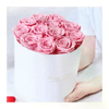 img-594e1ee4-20ac-457b-92cd-e678494ccce9.png