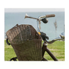 img-43208c54-5386-4d27-8646-53b4a50eecb6.png