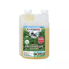 img-365540fc-df35-4141-83f5-984990f37ef0.png