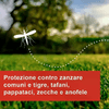 img-81ddc684-d6f3-4855-a2a3-028371f88cf5.png