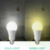 img-42b85428-a353-49bd-9252-2a76b56fc9eb.png