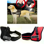 Pettorina Taglia M Sportdog Harness Cinghia per cani