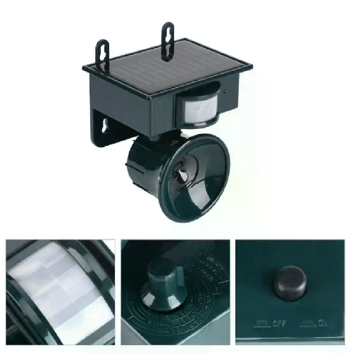 img-b1226483-030a-4ef4-a395-c2058905d3bd.png