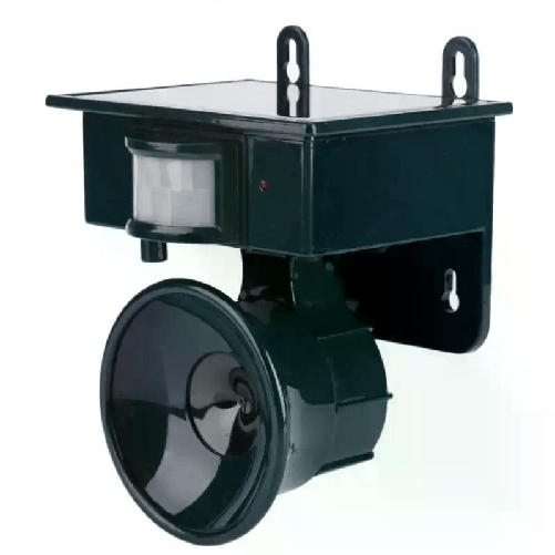 img-1d128ece-43fd-454a-b472-9a5de639dcce.png