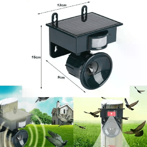 img-09e91fe6-f974-4fb7-8fc2-8b8e2f745940.png
