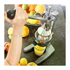 img-9a453717-c216-4a79-a26d-44e77836ff61.png