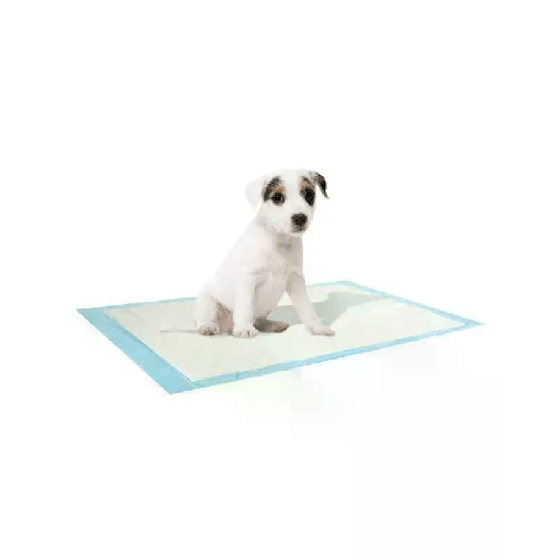 img-9d8c09af-3f3f-4561-9acf-918f6ca6b00e.png