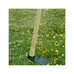 img-6cfecebe-73b4-4ec4-b7bf-be33e09deb17.png
