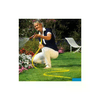 img-d5d7bbad-7e32-4927-b6eb-f520dc8991b6.png
