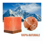 img-1423942c-ca95-40c7-8e81-174230122767.png