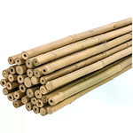 img-c86b4fe9-8bf4-4805-a44b-80fc7f9705ee.png
