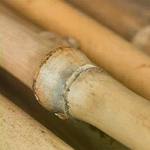 img-a91ddb07-3605-4001-b181-7e10164d92bb.png