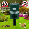 img-6e84a608-7963-429c-a9bc-6221dfd921f8.png