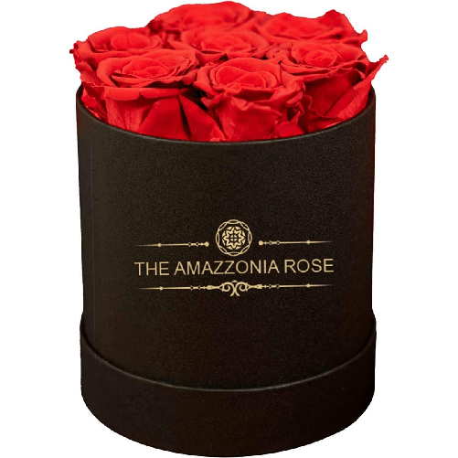 Bouquet 7 Rose Stabilizzate Lunga Durata Cofanetto d'amore - Rosse