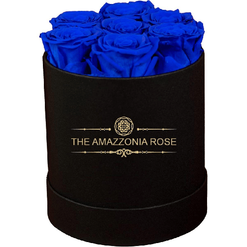 Bouquet 7 Rose Stabilizzate Lunga Durata Cofanetto d'amore - Blu