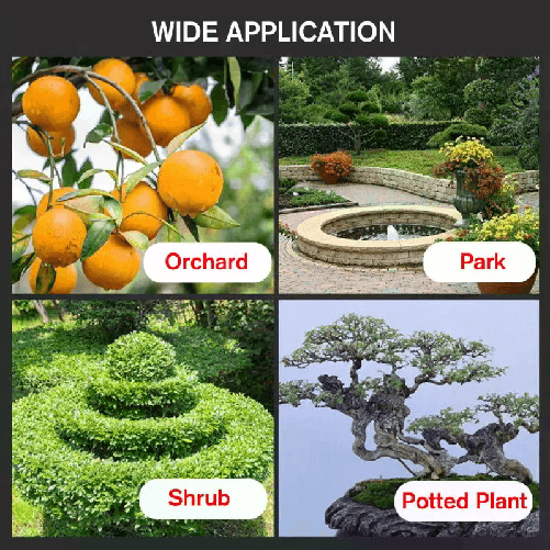 img-9757ac5e-0ba1-48e3-ab7f-67d307c98979.png