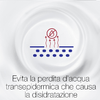img-8d9fb709-5abe-4d94-9f01-c81cc4eda08b.png