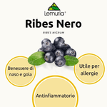 ribes nero estr 100 millilitri