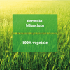 img-9b8bdcc3-0b97-4433-a624-af49f0a6e1d8.png