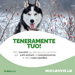 nucleovis lb 100 - nuova formula