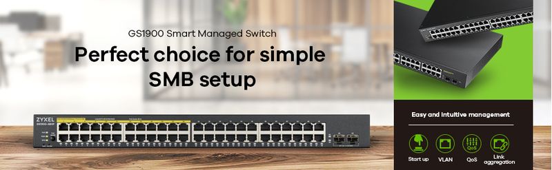 Zyxel-GS1900-48--Switch-Gigabit-48-Porte-con-Gestione-Smart