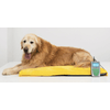 img-01784cbe-2aea-458c-a64f-3d5c8749e59c.png