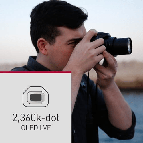 img-eefa5669-3113-4935-8739-2f7e1c945d42.png