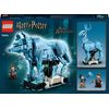 LEGO-Harry-Potter-76414-Expecto-Patronum-Set-2-in-1-con-Figure-Animali-Cervo-e-Lupo-Regali-per-Adolescenti