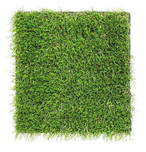 img-39f7453d-b247-4064-a238-bc45f086b7fc.png