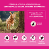 img-df10d793-26e5-4056-a353-730e944fc605.png