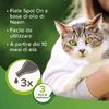 img-a5dec643-9f12-459a-a7ad-5140aa1ea92b.png