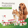 img-f1fe0923-6c9f-41e7-b464-1bac8c929da9.png